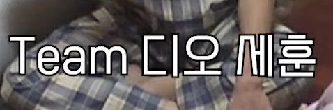 도세 banner
