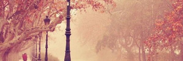 foxy_roxy117 Profile Banner