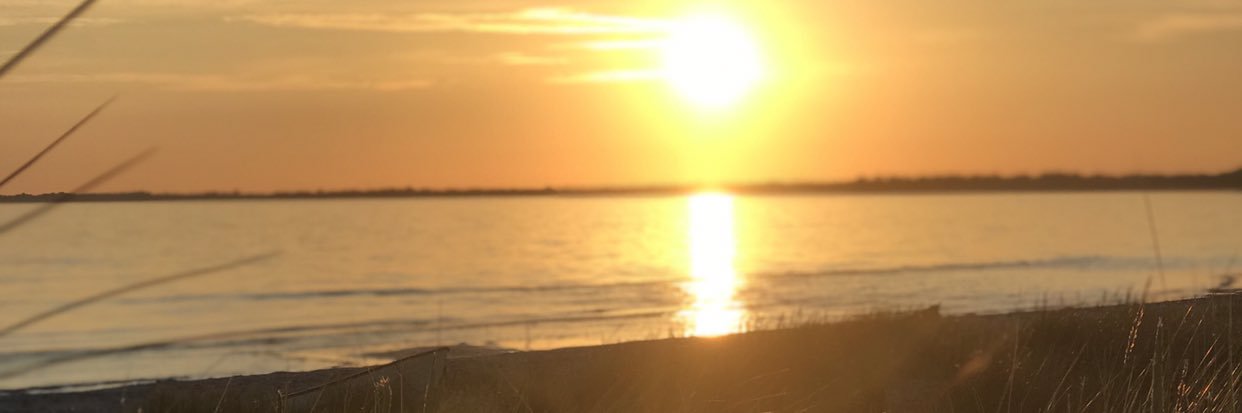 AnnaRinaldi2508's profile banner image
