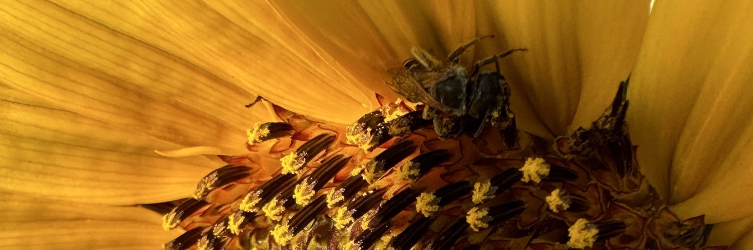 Uncle.Traveling.Matt. banner