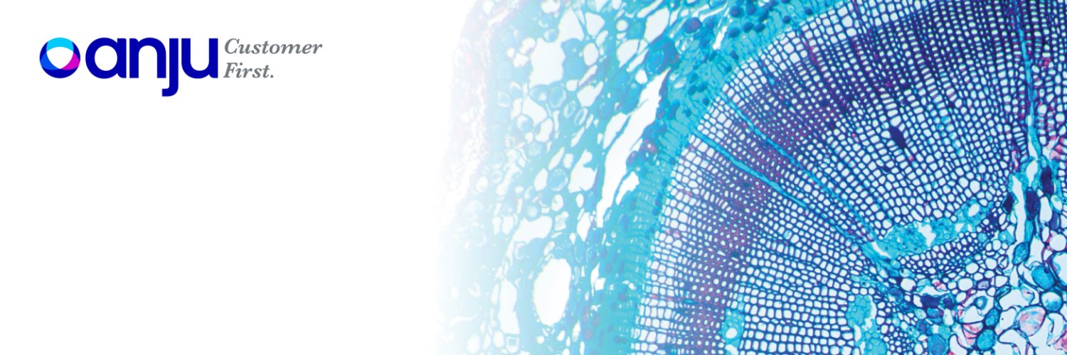 Anju Software banner