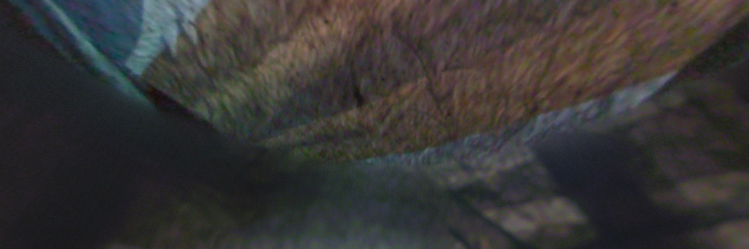 Niels den Boer banner