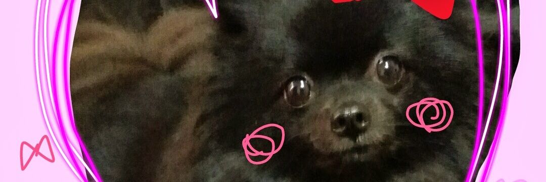 naoe0807's profile banner image