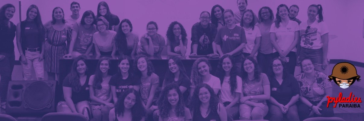 pyladiespb's profile banner image