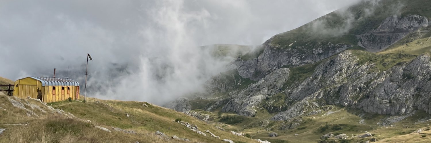 L’ail des ours banner
