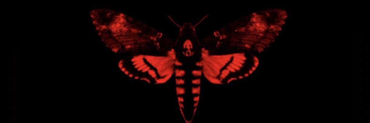 Lil_Prince37's profile banner image