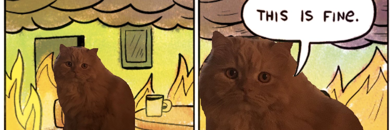 Daniel Valdivia banner