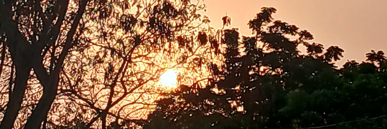 Mr. Green 🍀 banner