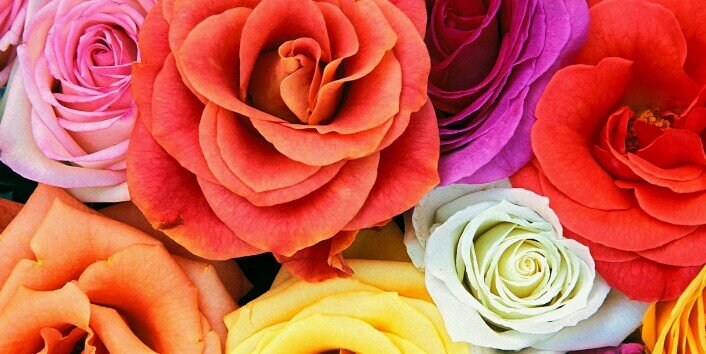 arianaj73's profile banner image