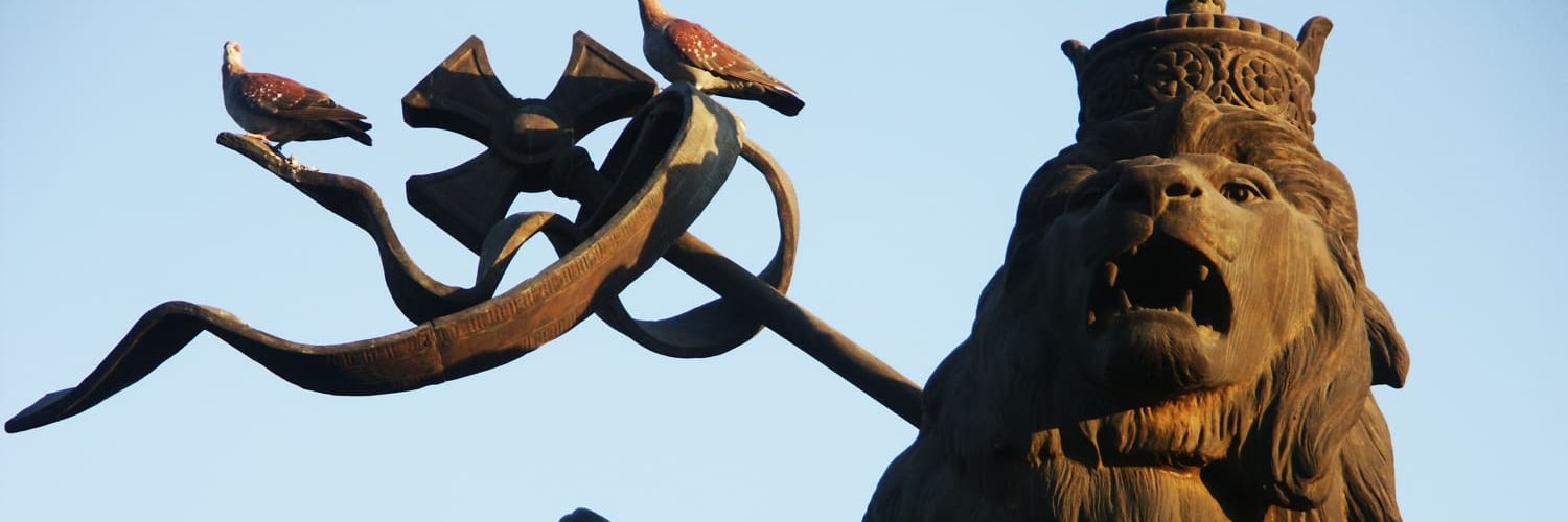 Naïtowl - አደይ አበባ banner