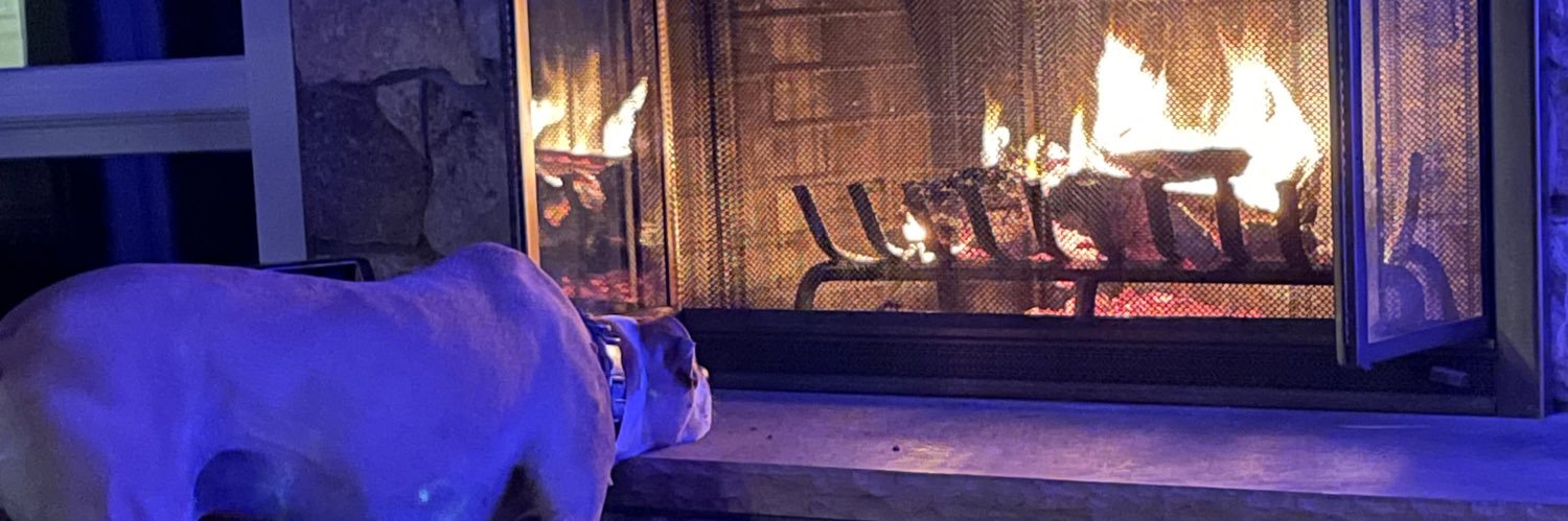 MrsPeens's profile banner image