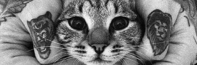 TalipD2's profile banner image