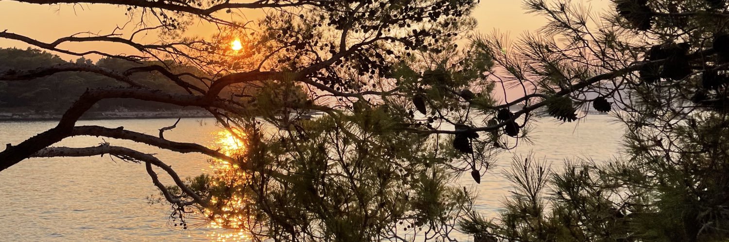 CaitlinMillar69's profile banner image