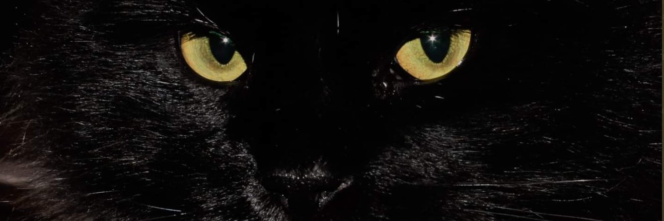 Cata Esquivel Pique banner