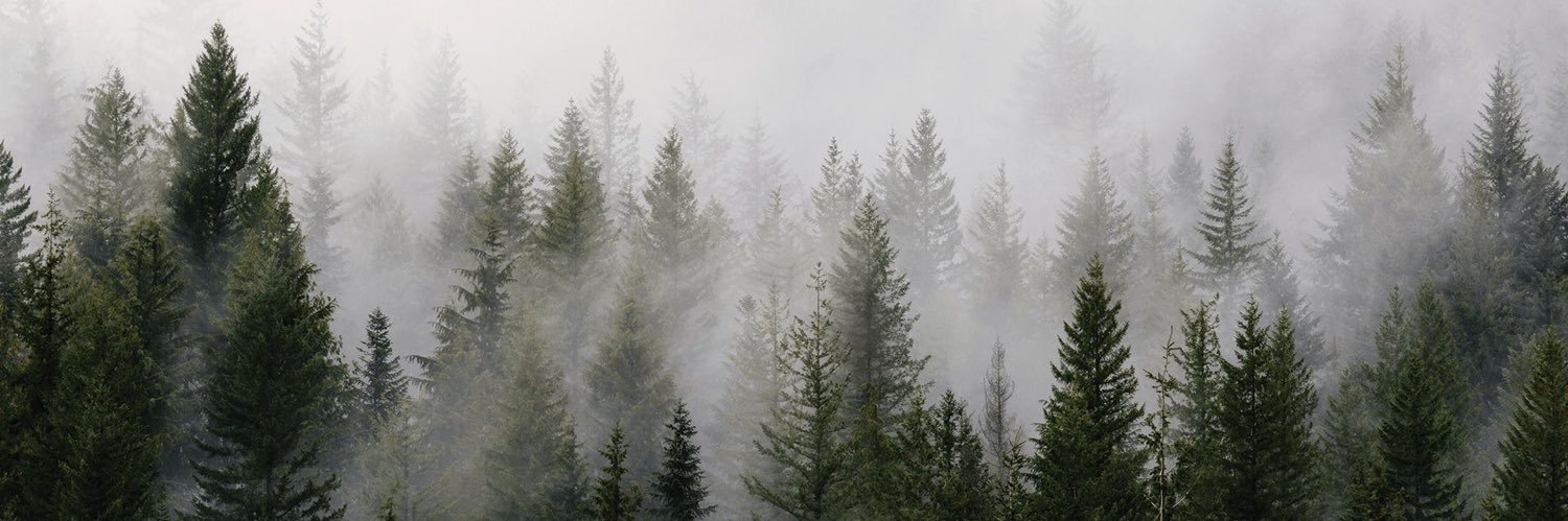 Andrew Harrington banner