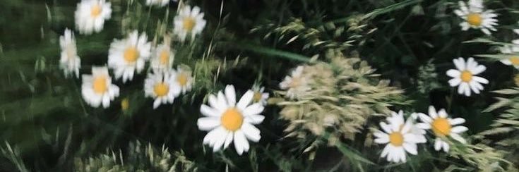 派派 (closed) banner