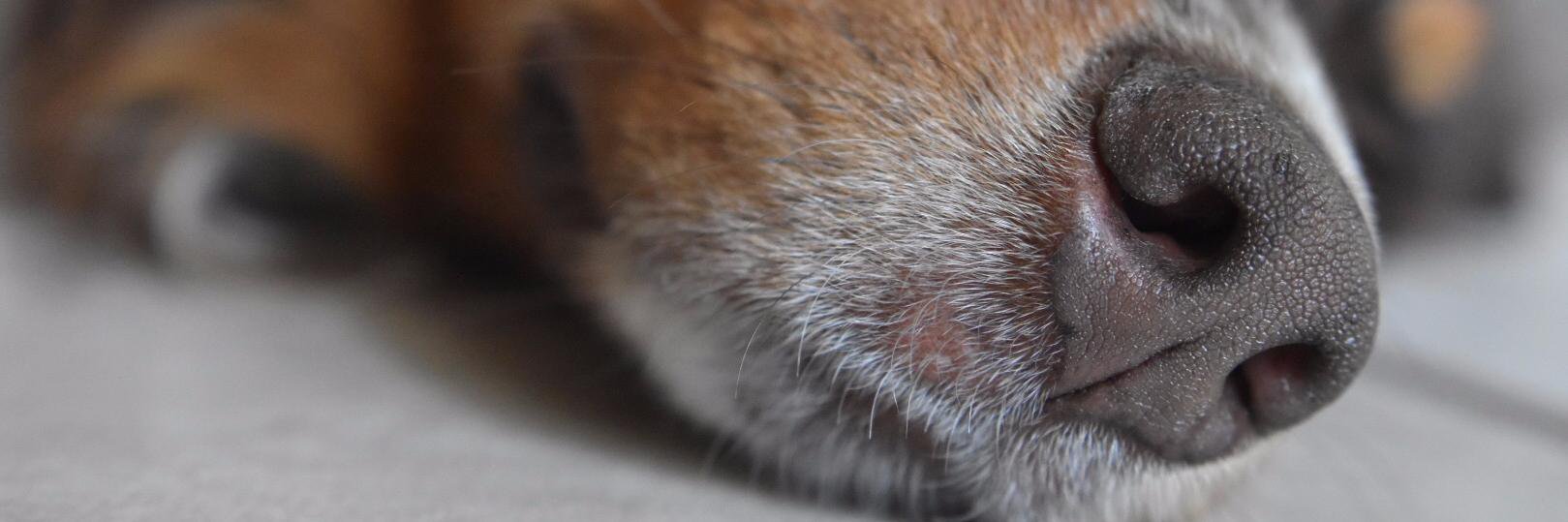bondgto's profile banner image