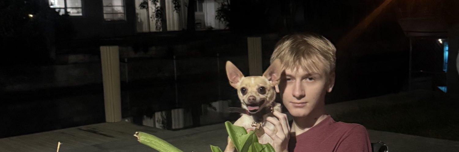 NatalkaMaria's profile banner image