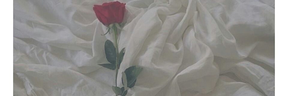 ___emu_te's profile banner image