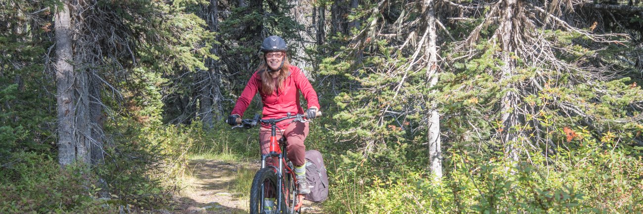 District of Wells banner