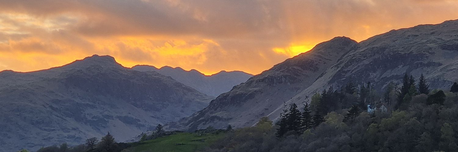 Jane 🦋💙 banner