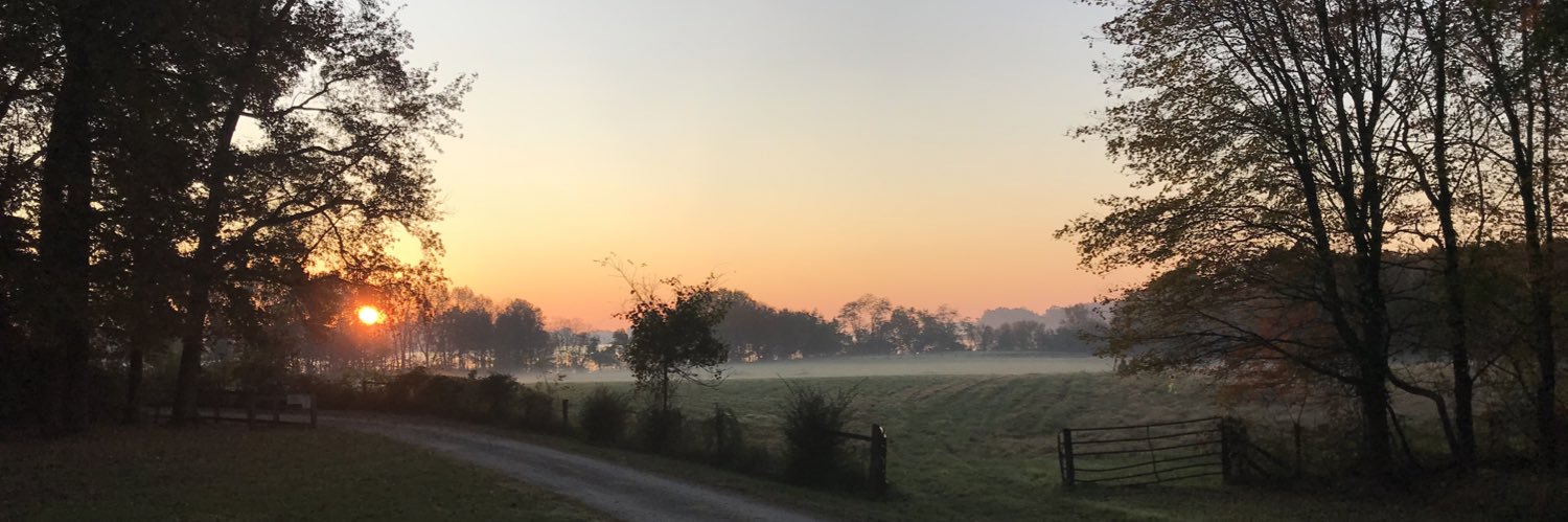 BRedekop's profile banner image
