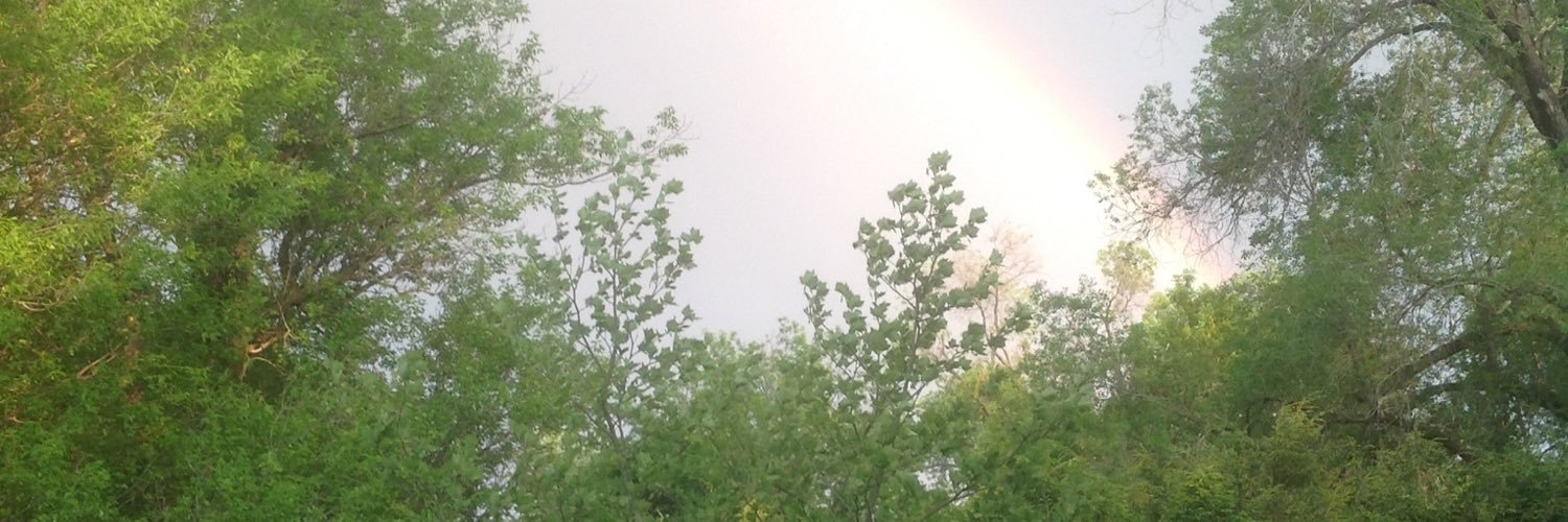 ericlpayne's profile banner image