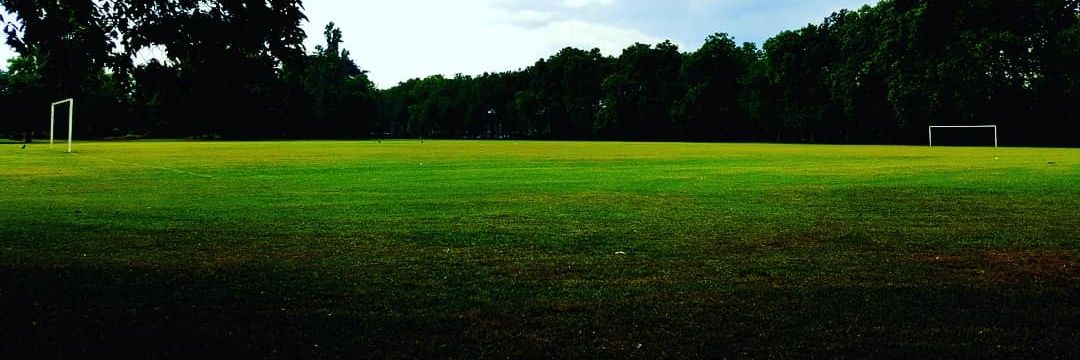 Steven Calvert banner