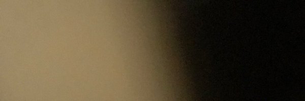 FestRecombinant Profile Banner
