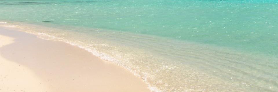 Liselt Bracamonte banner