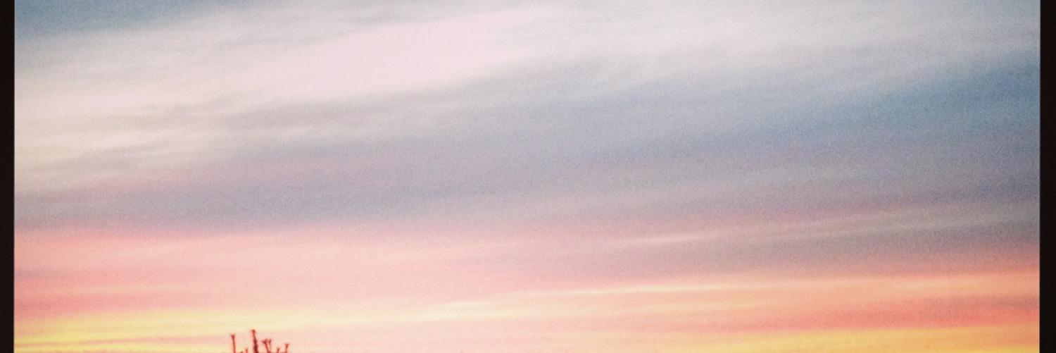 schubydoo12's profile banner image