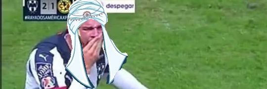 🐧غونتر banner