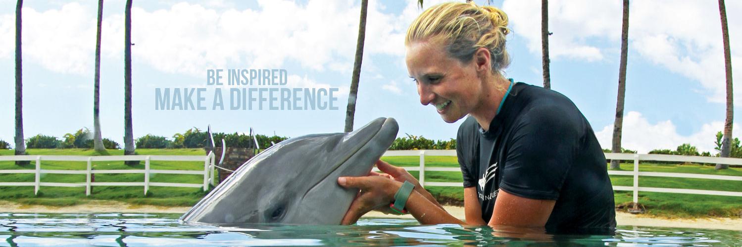 Dolphin_Quest's profile banner image
