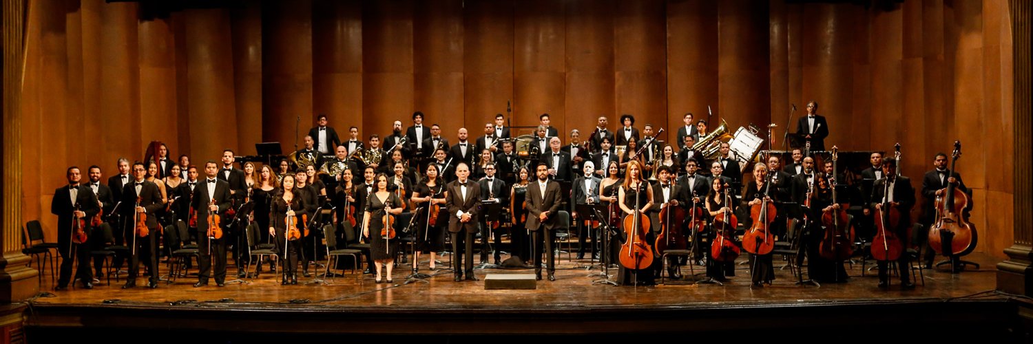 SinfonicadeCcs's profile banner image