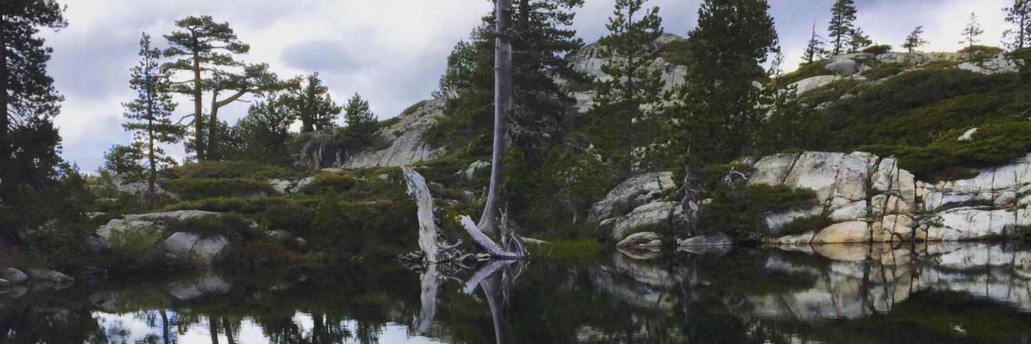 kwaldthaler's profile banner image