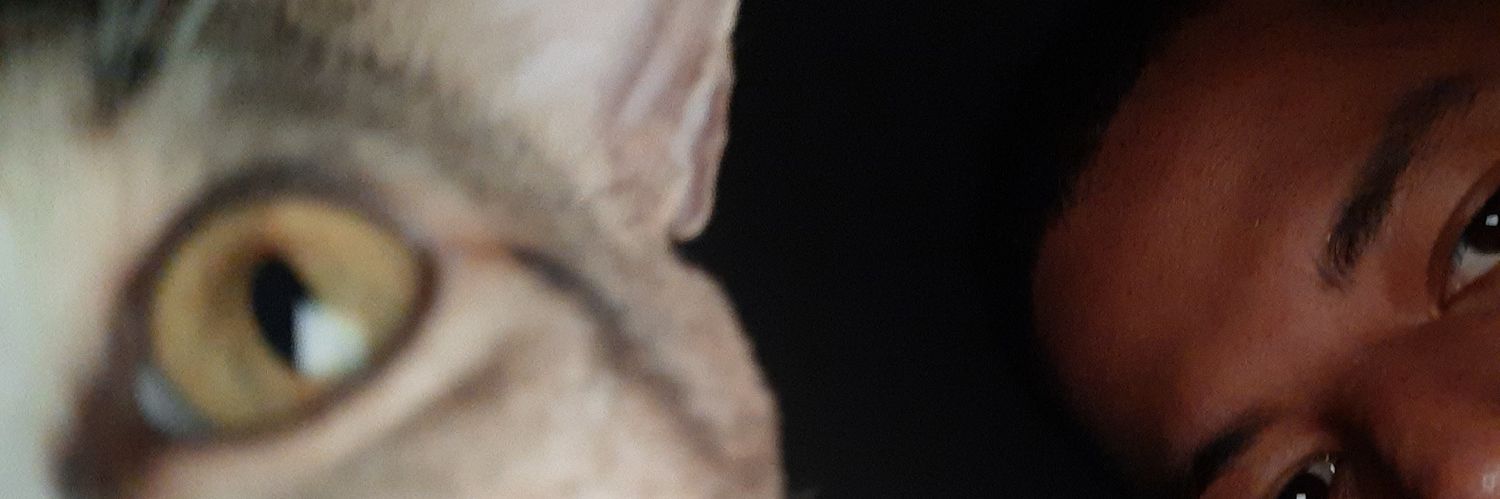 chico_out's profile banner image