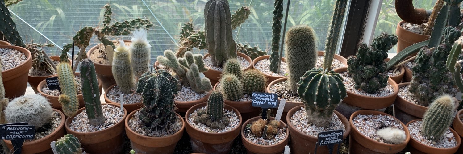 danielletaylor banner