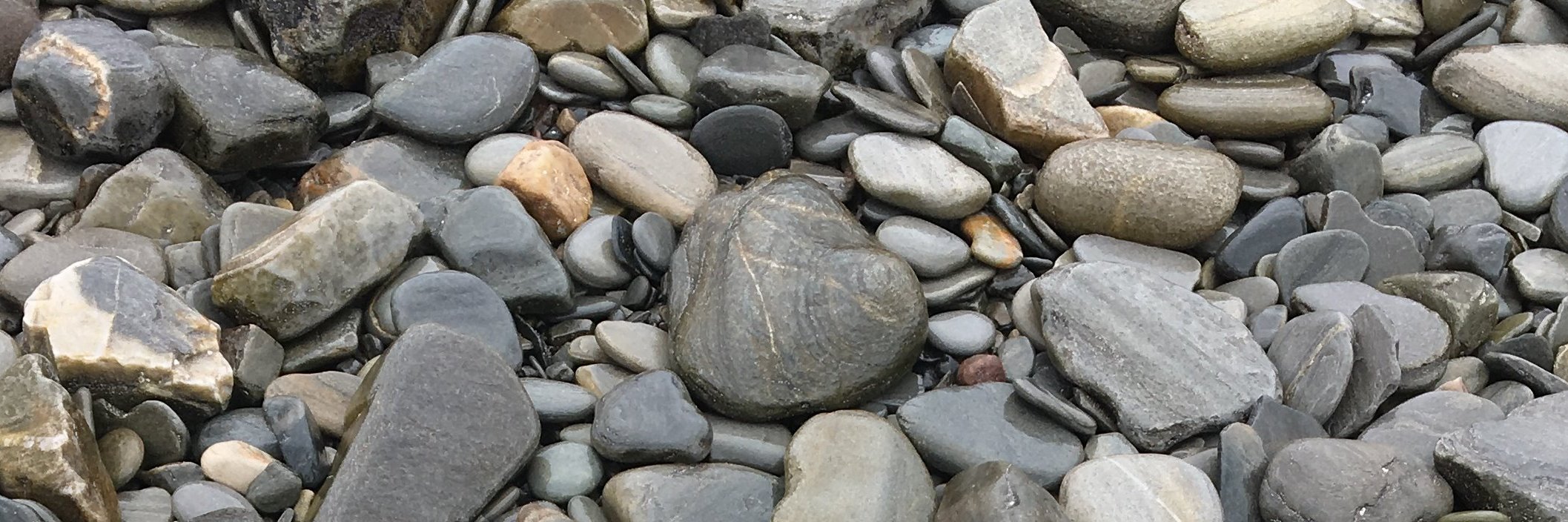 Neil Stevenson banner