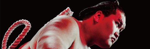 YASEInoBAKA's profile banner image