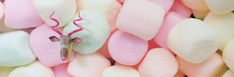 Rio_taro_ro's profile banner image