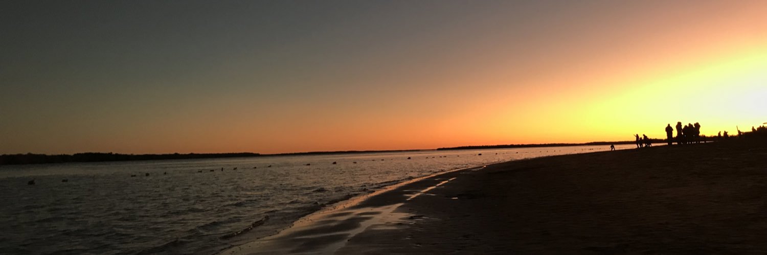 salmagomezj's profile banner image