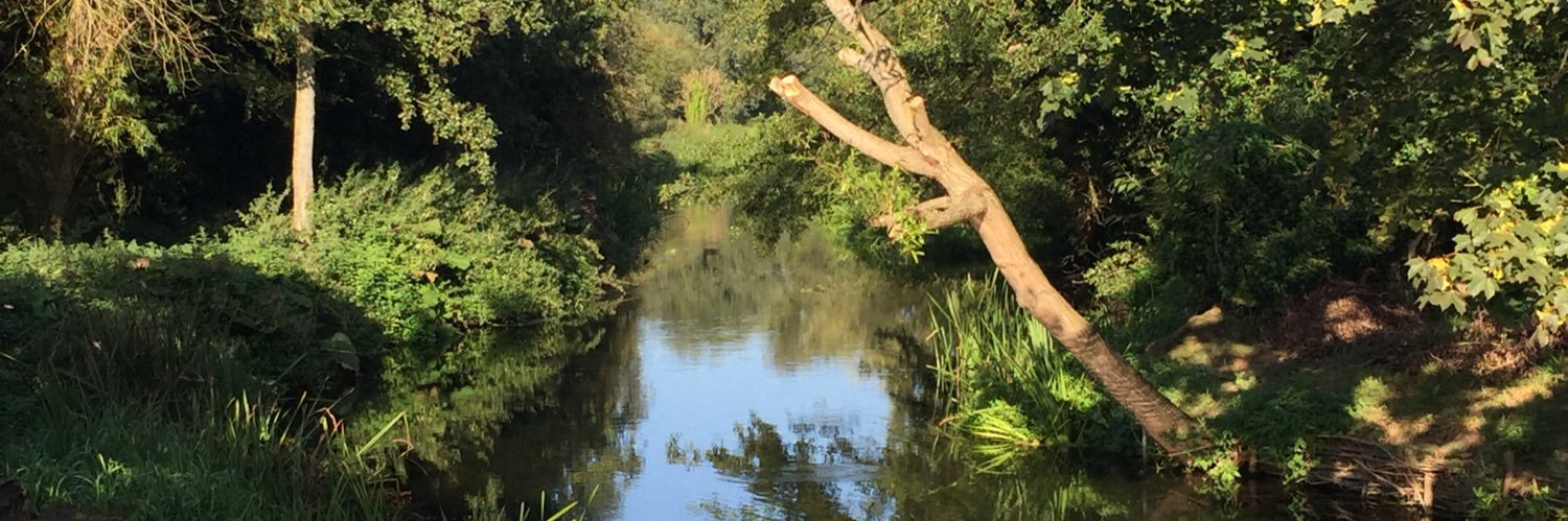 Sally Knocker banner