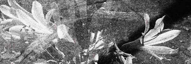 Outer Reaches banner