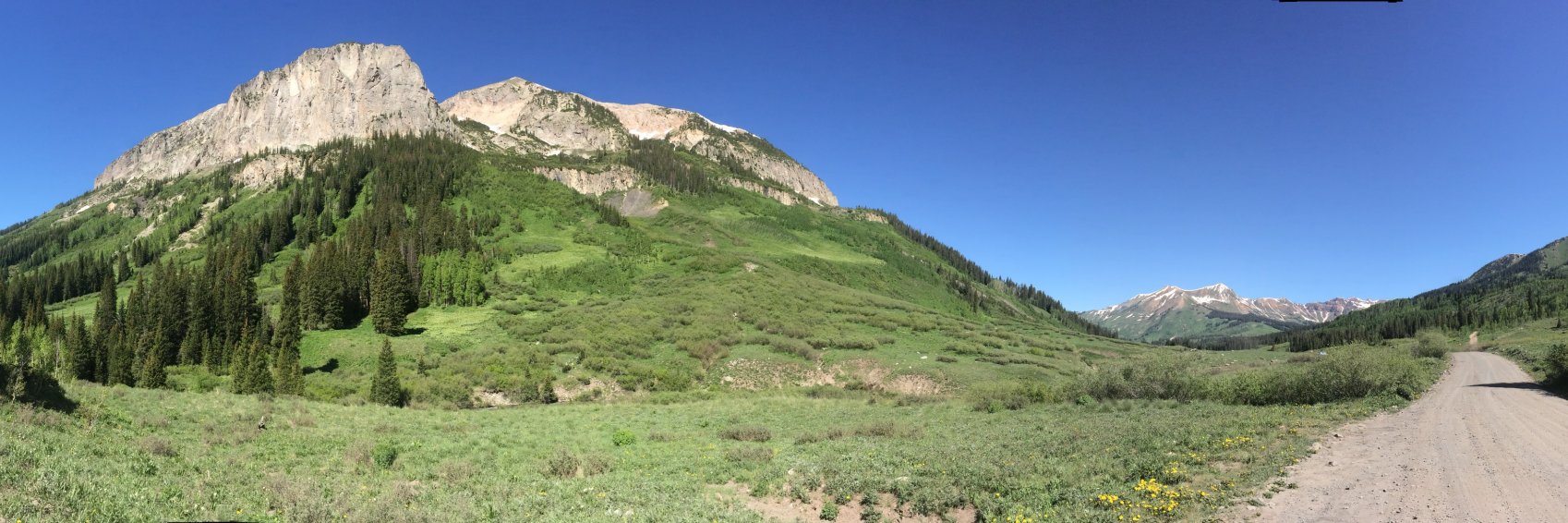 Alycia Lackey banner