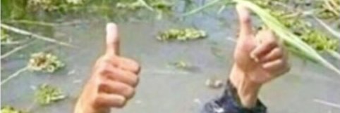 Steve T. | AdaNet.io banner