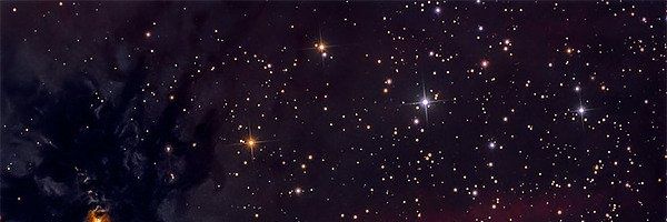 LD banner