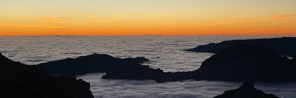 david_tomu Profile Banner