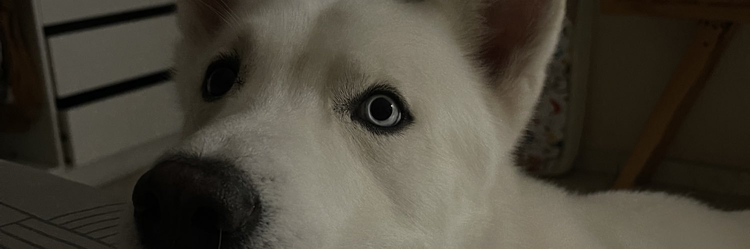 Nunnez23's profile banner image