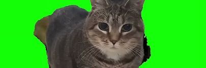 00DDEYE's profile banner image
