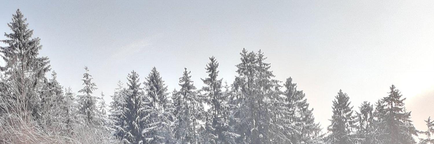 SandraPiel's profile banner image